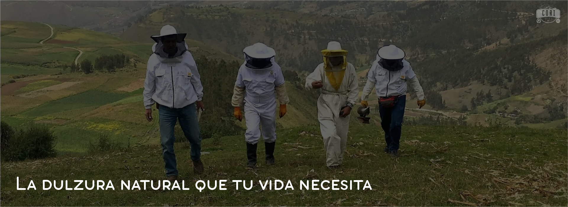 imagen carrusel
